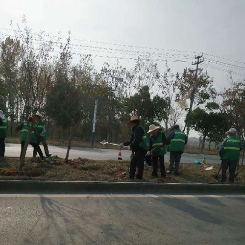 經(jīng)開區(qū)市政園林綠化工程推薦 秋樂園林，價(jià)格優(yōu)惠助力城市綠化管理