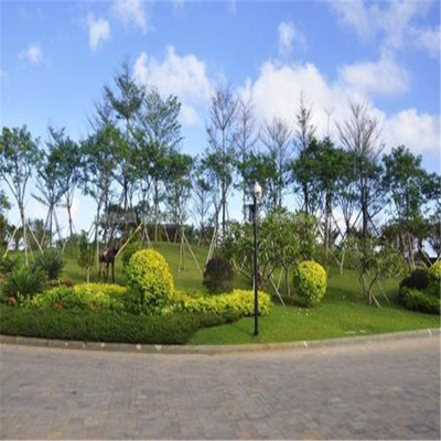 東城園林景觀綠化施工隊 專業(yè)打造生態(tài)宜居環(huán)境